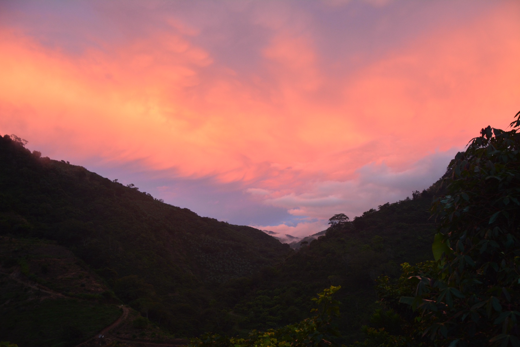 Sonnenuntergang über der Finca